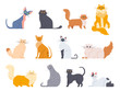 Cat breeds. Cute fluffy cats, maine coon, bobtail, siamese cat and funny sphynx cat, pedigree breeds pets isolated illustration icons set. Flat vector kittens bundle