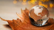 © JOE LORENZ DESIGN - Earth ball globe with canada autumn and usa america  on a maple leaf in autumn with glowing lights - sustainable, ecology and environment al planet map world ESG.