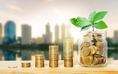 green plant growing on golden coin in glass jar on wood table with morning blur cityscape background. business financial banking saving concept. investment profit income. marketing startup success.