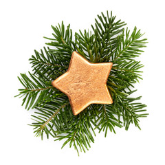 Pine cones and fir tree branch on a white background.