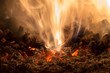 © donikz - Texture embers closeup. Embers after a fire.