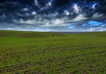 man in the field. picturesque clouds over a hilly field