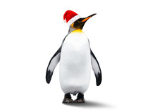 Emperor Penguin In New Year Helper
