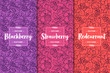 Set of three berries patterns. Blackberry, strawberry, red currant. Flat vector illustration.