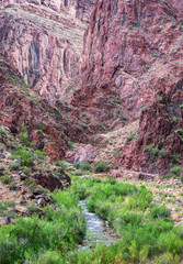 Wall Mural - North Kaibab Trail - The Box - Bright Angel Creek - Grand canyon National Park