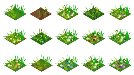 isometric grass and flowers set. isolated tiles to create farm or garden landscape. for cartoon or g