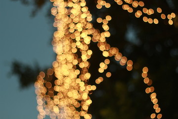Wall Mural - Bokeh around the grand palace
