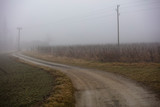 Fototapeta Tęcza - road in foggy landscape 