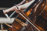 Fototapeta  - Side views of classical instruments - violin, double basses, cellos, closeup of hands