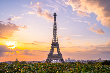 Wall Mural - Eiffel tower at sunrise