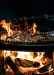 © Alisa - .rib restaurant, the process of preparing pork ribs on an open fire