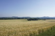 © pisces2386 - Beautiful view over Rathmannsdorf to famous hills of Saxon Switzerland