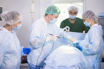 Wall Mural - Team of surgeons doing surgery