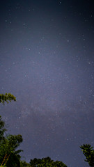 Wall Mural - milkyway at night