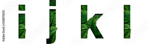 Fotografía Leafs font i,j,k,l made of Real alive leafs with Precious paper cut shape
