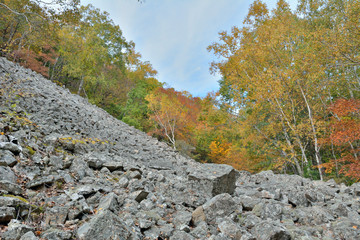 Autumn in mountain taiga 2