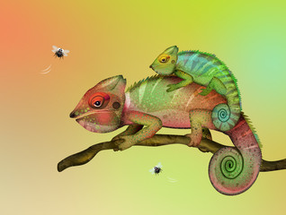 Poster - chameleon on branch