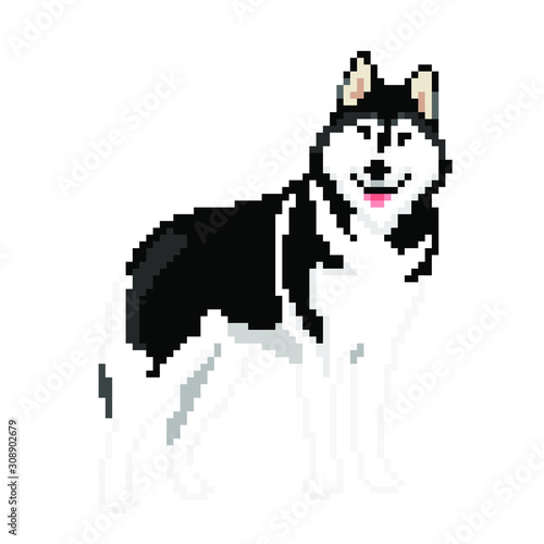 photo Black And White Pixel Art Dog https stock adobe com uk images vector pixel art siberian husky dog isolated on white background black and white dog 308902679 start checkout 1 content id 308902679