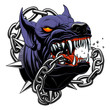 © Refluo - Black angry dog broke the chain