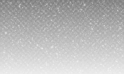 Poster - differents realistic falling snow or snowflakes. Isolated on transparent background.