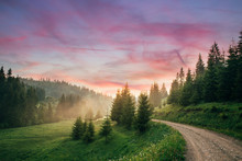 Beautiful Landscape At Sunset With Fir Trees In Spring. 