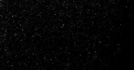 Wall Mural - natural white winter snowfall on a black background