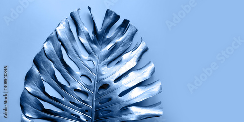 classic-blue-tropical-palm-leaf-monstera-on-pastel-blue-abstract-pattern-for-design-trendy-color-2020