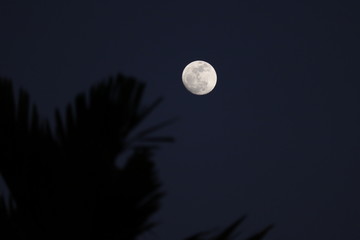 full moon and moon