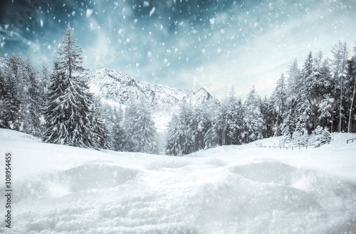 Fotomural Winter background of free space and sunny december day