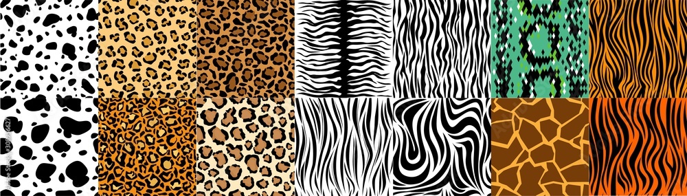 Collection of natural seamless patterns with coat, skin of fur textures of wild exotic animals - zebra, snake, tiger, leopard, giraffe. Flat vector illustration for wrapping paper, textile print. - obrazy, fototapety, plakaty 