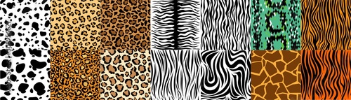 Fotografía Collection of natural seamless patterns with coat, skin of fur textures of wild exotic animals - zebra, snake, tiger, leopard, giraffe