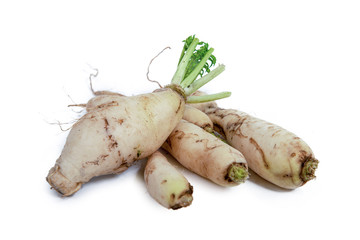 Wall Mural - white radish isolated on white background