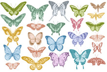 Vector Set Of Hand Drawn Pastel Papilio Ulysses, Morpho Menelaus, Graphium Androcles, Morpho Rhetenor Cacica, Papilio Demoleus, Cethosia Biblis, Papilio Antimachus, Alcides Agathyrsus, Ornithoptera