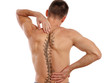 © dream@do - Scoliosis Spine Curve Anatomy, Posture Correction. Chiropractic treatment, Back pain relief.
