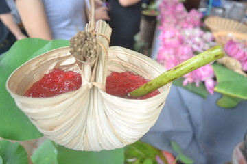 cup make from bamboo leaf