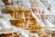 Minerva Terrace At Mammoth Hot Springs, In Yellowstone National Park