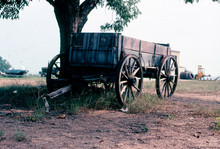 Old Western Wagon Beside Tree