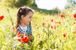 Little girl picking poppies in a field
