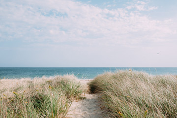 beach and sea