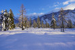 Deutescher Winterwald in den Alpen