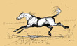 isolated graphic drawing, horse galloping across the field