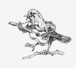 Sparrow bird plays the guitar and sings in a vintage style. Engraved hand drawn retro sketch for banner or t-shirt.