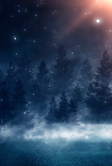 Wall Mural - winter abstract landscape. sunlight in the winter forest. snowy hillside