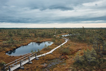 The Landscape Around The Great Bog Trail Of Kemeri National Park, Latvia