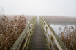 Small footbridge over a river on a foggy day in autumn.