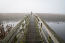 A Woman Walking On A Small Footbridge On A Foggy Day In Autumn.