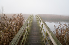 Reeds In Water And Foot Bridge Free Stock Photo - Public Domain Pictures