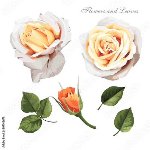 Flowers and leaves, watercolor, can be used as greeting card, invitation card...