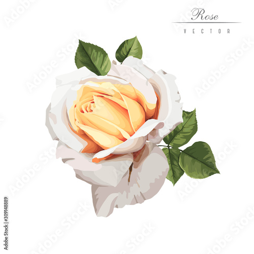 Bouquet of roses, watercolor, can be used as greeting card, invitation card f...