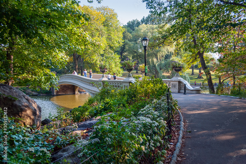 Footbridge Central Park